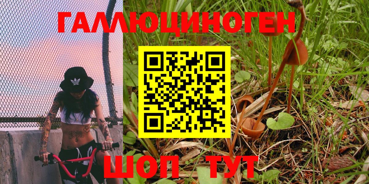 Псилоцибиновые грибы мицелий Россия