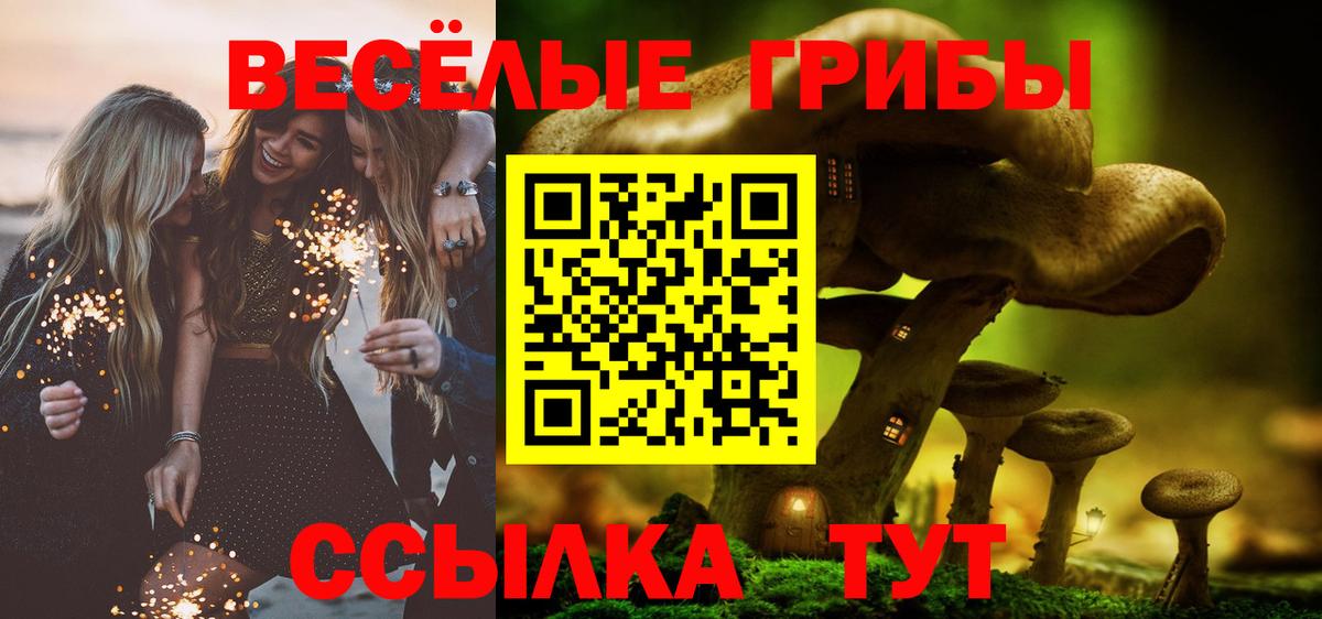 Галлюциногенные грибы GOLDEN TEACHER  Вход с VPN  что такое   Россия 